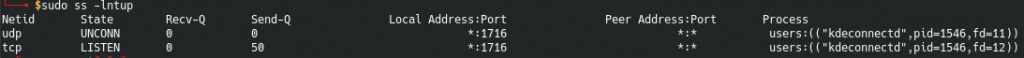 scanning ports using ss command
