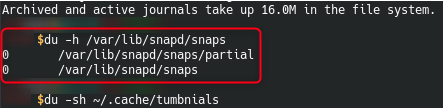 remove older version of snap