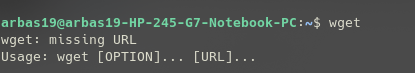 verifying wget command in Linux
