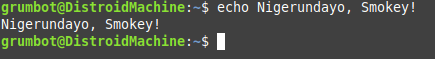 echo Command in Linux 