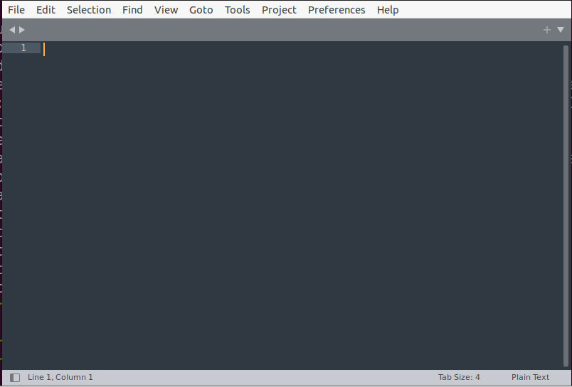 Sublime Text Editor Opened