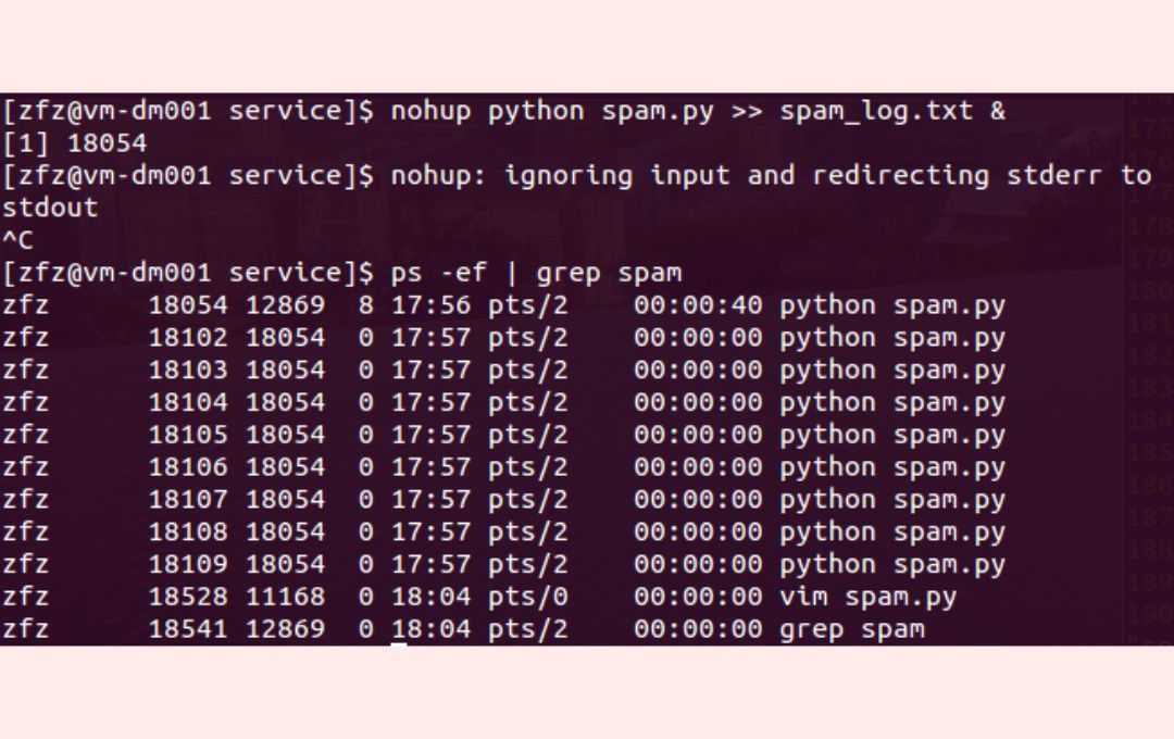 How to Kill all Python Processes on Linux