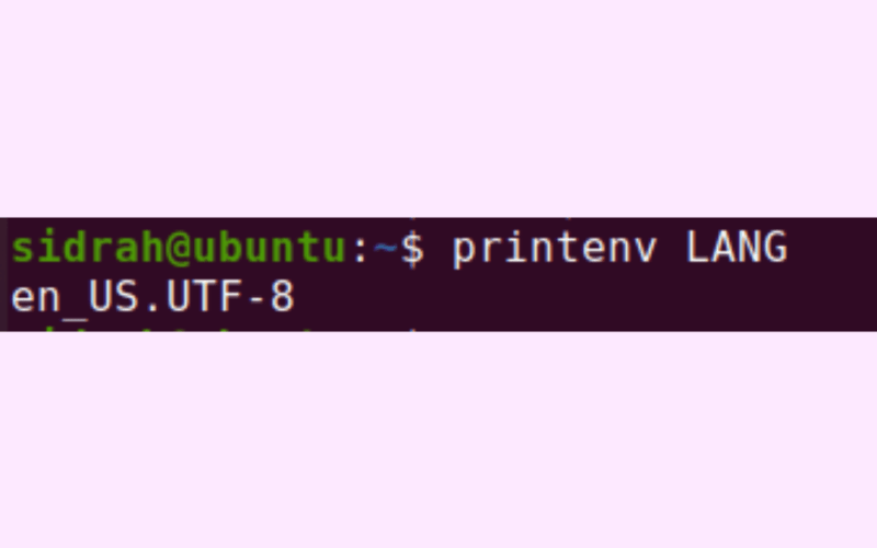 List Environment Variables on Linux