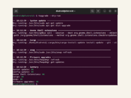 Use Topgrade to update packages on Linux 1