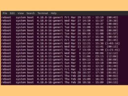 How to Check Last Reboot Time on Linux