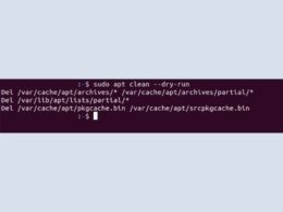 How to Save Disk Space by Clearing APT Cache on Linux