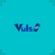 How to Use Vuls as a Vulnerability Scanner on Ubuntu 22.04