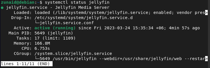 jellyfin status debian 11