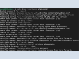 How to Reconfigure Installed Packages on Debian 11
