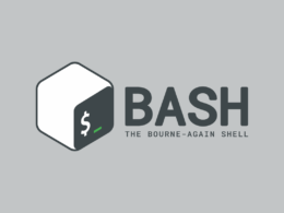 how to pass a named argument in a bash script