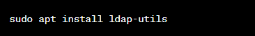 install the LDAP client