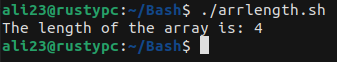run bash script