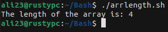 run bash script