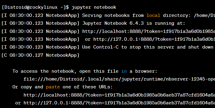 Jupyter Notebook running